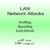 پاورپوینت حملات شبکه ای