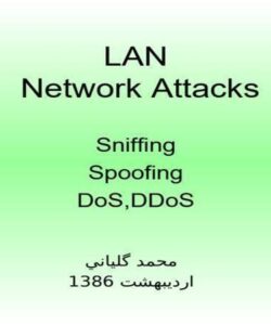 پاورپوینت حملات شبکه ای