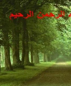 پاورپوینت جهانی شدن اسلام