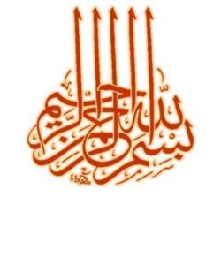 كنترل عفونت در سل ppt