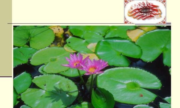 شيمي عمومي رشته تربيت بدني ppt