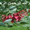 پاورپوینت حفاظت کاتدی ppt