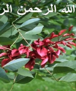 پاورپوینت حفاظت کاتدی ppt