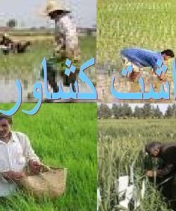 بهداشت كشاورزي