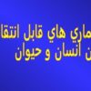 تب مالت ppt