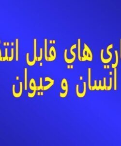 تب مالت ppt