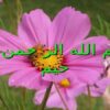 بررسی مديريت زباله در بيمارستا نها