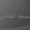 تجربه مدیریتی ppt