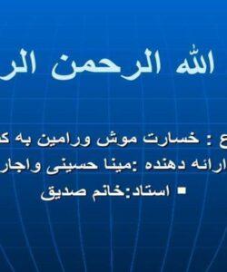 خسارت موش ورامین به کشاورزی ppt