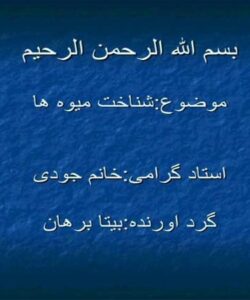 پاورپوینت شناخت میوه ها
