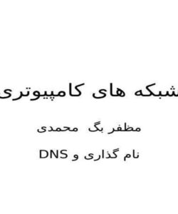 سیستم نام گذاری حوزه