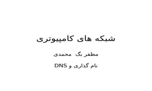 سیستم نام گذاری حوزه