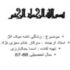 زندگی نامه میک آنژ ppt