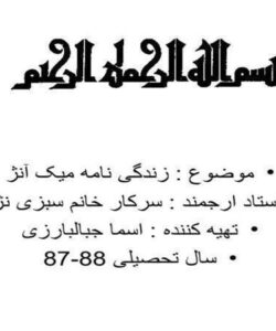 زندگی نامه میک آنژ ppt