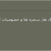 سنگ-ها-سخره-ها-و-خصوصیات-آنها
