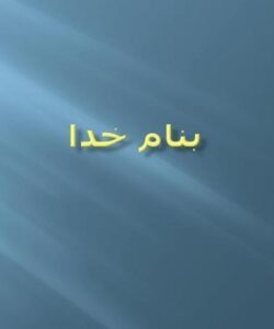 پریبیوتیک ها و آنتی اکسیدانت ها به عنوان غذاهای عملی