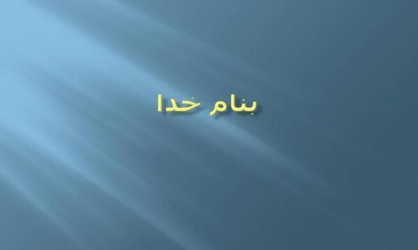 پریبیوتیک ها و آنتی اکسیدانت ها به عنوان غذاهای عملی