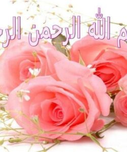 پاورپوینت سیاست ها و جهت گیری های کلی