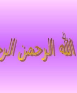 حافظه های جانبی ppt