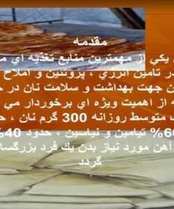 راه های جلوگیری از الودگی نان ppt