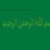 سیستم های حسابداری شرکت بازرگانی قصر تراشه