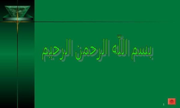 سیستم های حسابداری شرکت بازرگانی قصر تراشه