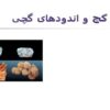 پاورپوینت گچ و اندودهای گچی