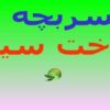 پاورپوینت پسربچه و درخت سیب