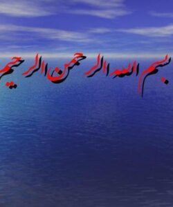 جوندگان و راه های کنترل آنها ppt