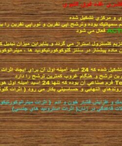 پاورپوینت گلوكو و مينرالو