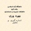بهره وري اندازه گيري و تحليل ppt