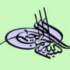 شرح وظايف اداره درآمد ppt