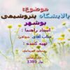 پاورپوینت پالایشگاه پتروشیمی بوشهر