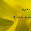 پاورپوینت توربو پمپ ها