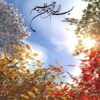 برنامه پنجم توسعه اقتصادی اجتماعی و فرهنگی جمهوري اسلامي ايران ppt