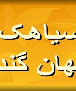 سیاهک پنهان گندم ppt