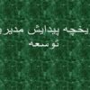 پاورپوینت تاریخچه پیدایش مدیریت توسعه