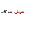 هوش چند گانه