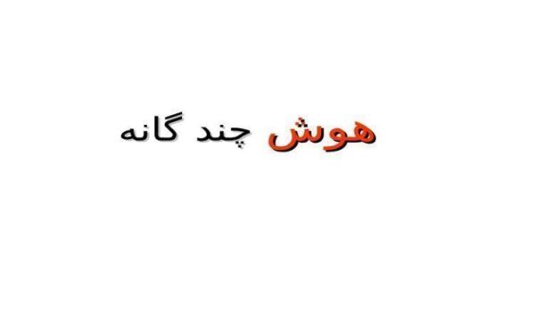 هوش چند گانه