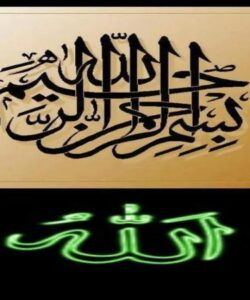 حشره کش ها ppt