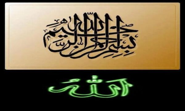 حشره کش ها ppt