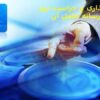 قفل گذاری و حراست نرم افزار و رسانه حامل آن ppt
