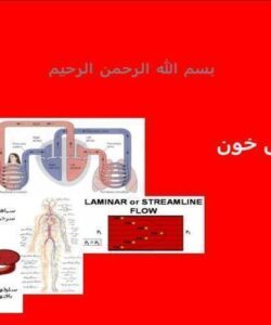 دستگاه گردش خون ppt