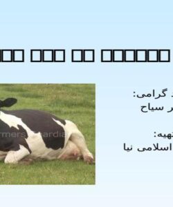 پاورپوینت تنش گرمایی در گاو شیری