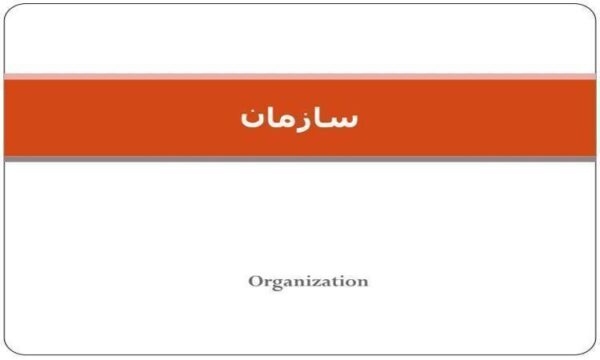 سازمان
