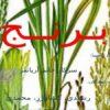 برنج