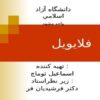 فلایویل
