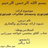 فيبرنوري