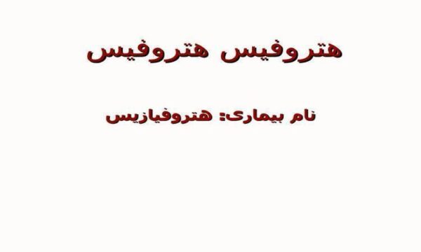 هتروفیس