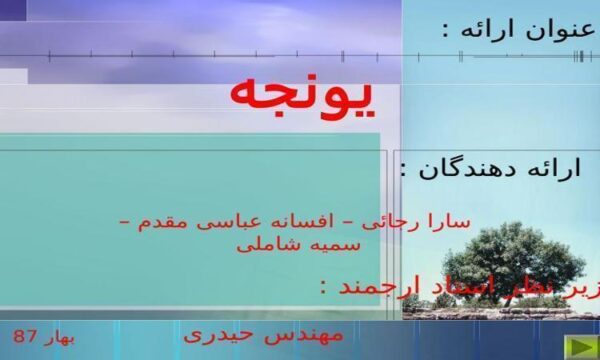 مبدا-اوليه-يونجه